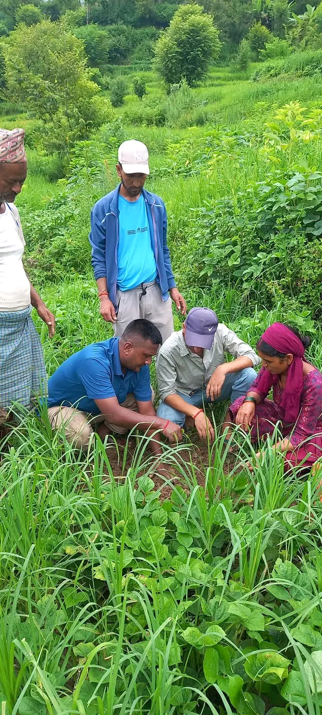 Agarwood Plantation Program image